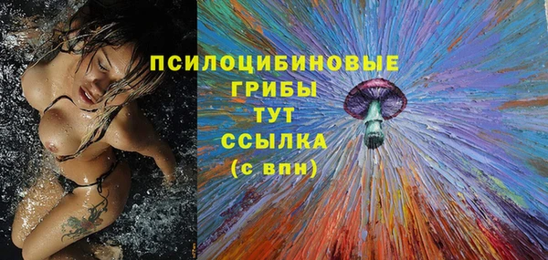 мескалин Арсеньев